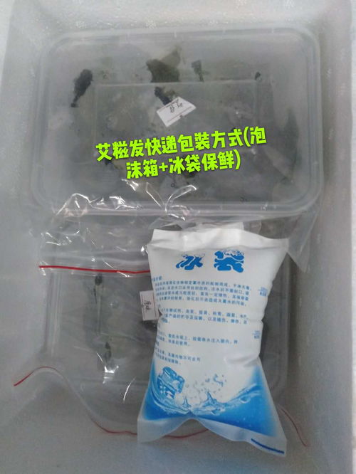生鮮速遞，品質(zhì)保鮮 廣東省內(nèi)順豐包郵，24小時(shí)急速發(fā)貨